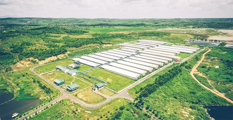 Top cửa hàng bán thức ăn gia súc tại TPHCM uy tín nhất