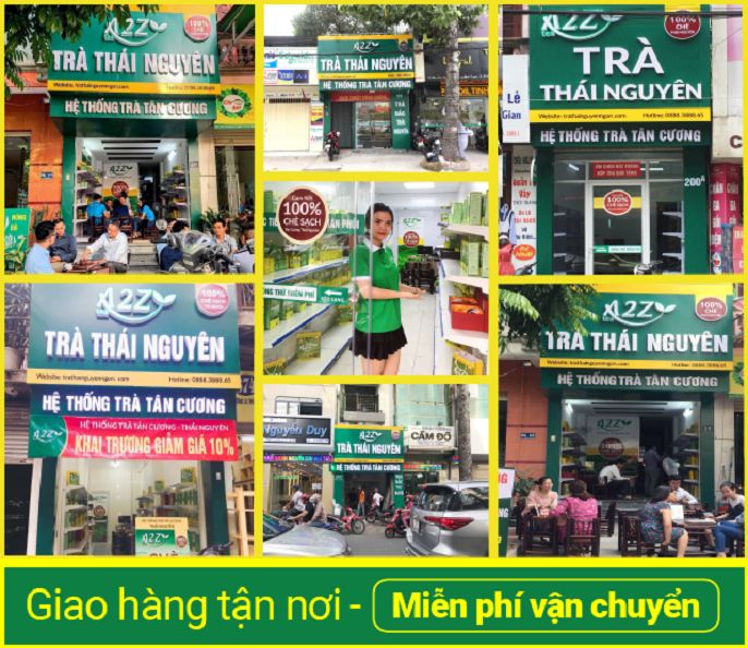 Top 5 cửa hàng bán trà chất lượng tại TPHCM giá tốt chất lượng