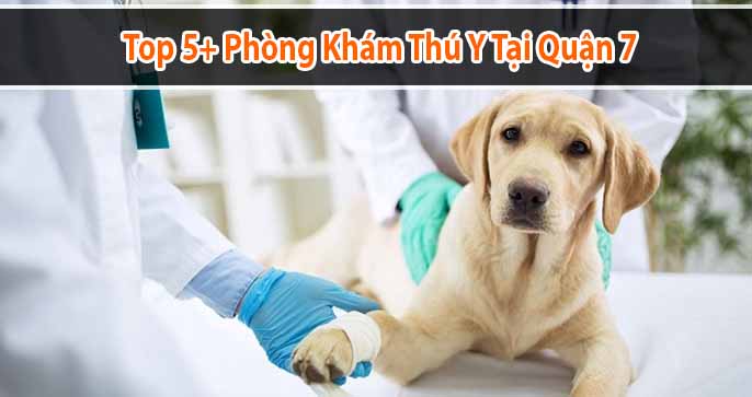 Phòng Khám Thú Y Hạnh Phúc