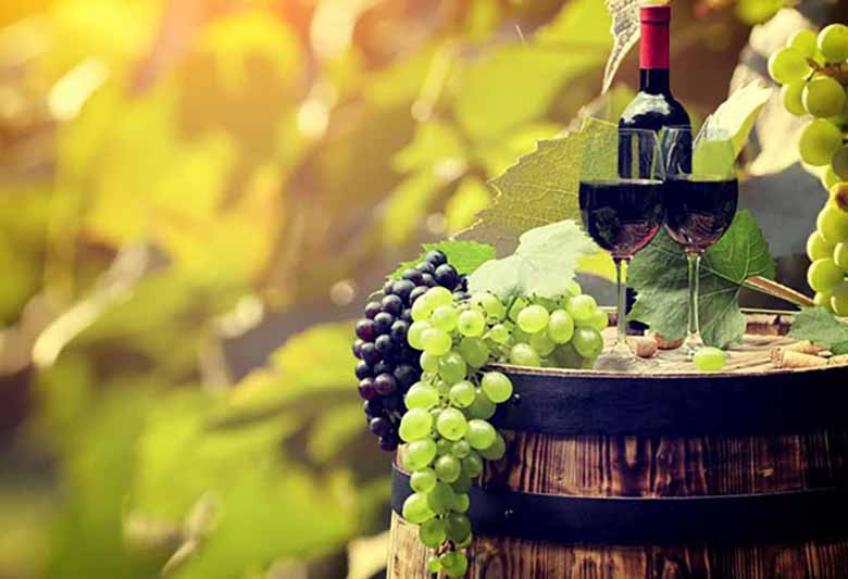 Mua rượu vang Ý tại Rượu ngoại 1866 uy tín, nhập khẩu chính hãng