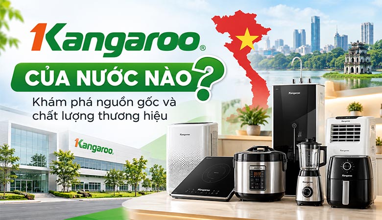 Kangaroo của nước nào? Khám phá nguồn gốc và chất lượng thương hiệu